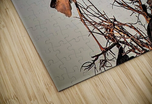 1204 mohamed elabari puzzle