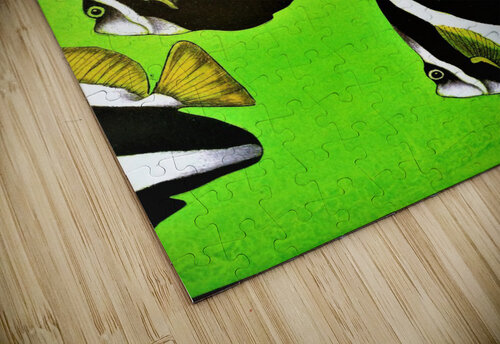 1236 mohamed elabari puzzle