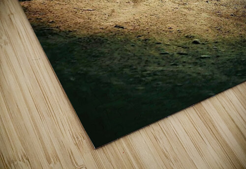 1335 mohamed elabari puzzle