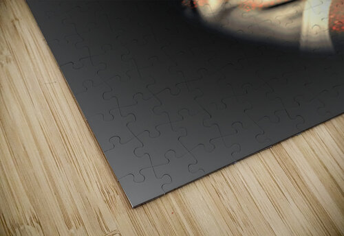 1342 mohamed elabari puzzle
