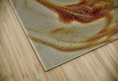 1356 mohamed elabari puzzle