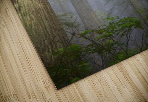 1401 mohamed elabari puzzle