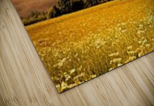 1430 mohamed elabari puzzle