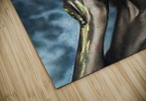 1437 mohamed elabari puzzle