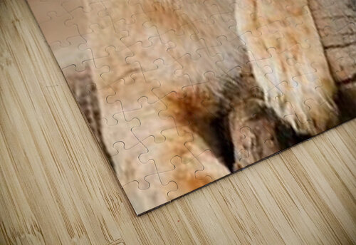 1438 mohamed elabari puzzle