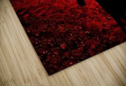1441 mohamed elabari puzzle