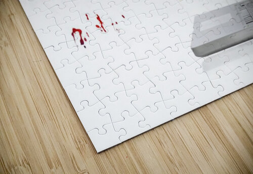 1458 mohamed elabari puzzle