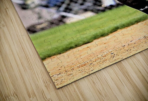 1459 mohamed elabari puzzle