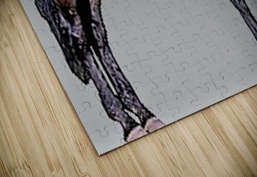 1483 mohamed elabari puzzle