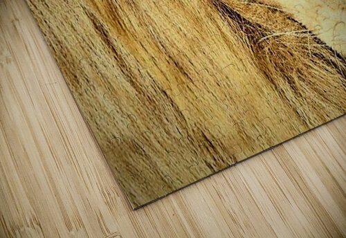 1500 mohamed elabari puzzle