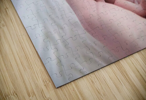1504 mohamed elabari puzzle
