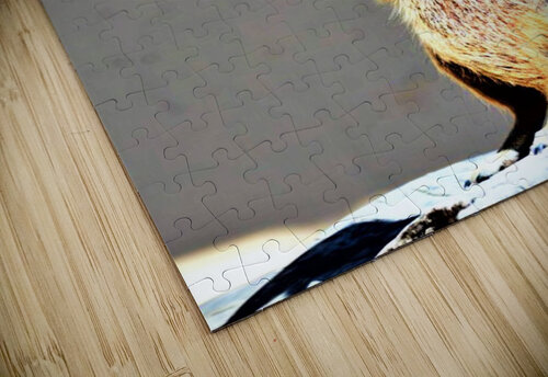 1542 mohamed elabari puzzle