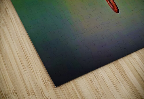 1545 mohamed elabari puzzle