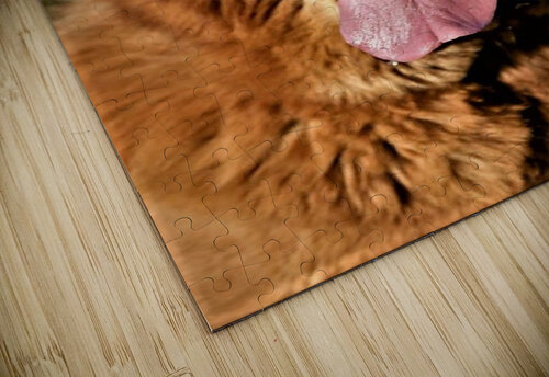 1550 mohamed elabari puzzle
