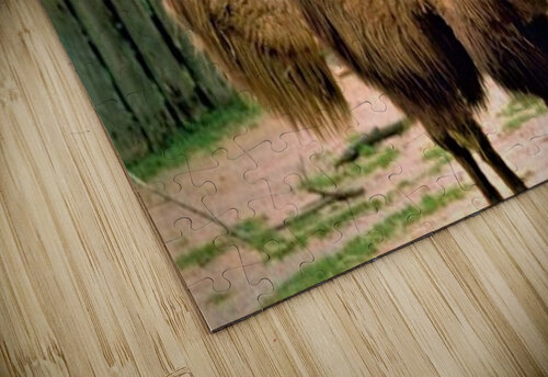 1580 mohamed elabari puzzle
