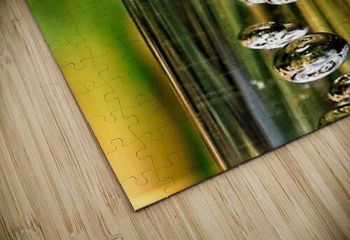 1589 mohamed elabari puzzle