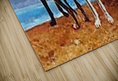 1605 mohamed elabari puzzle