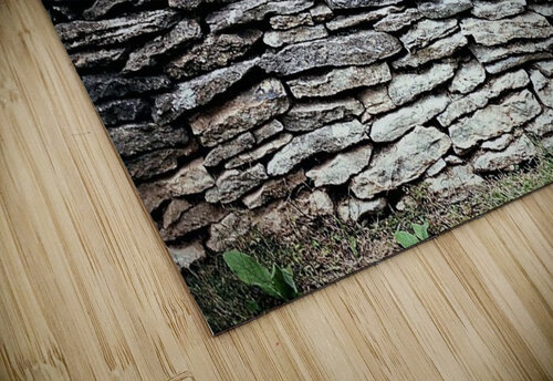 1611 mohamed elabari puzzle