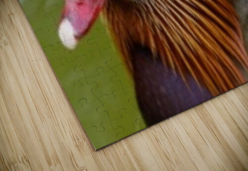 1618 mohamed elabari puzzle