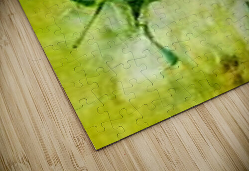 1620 mohamed elabari puzzle