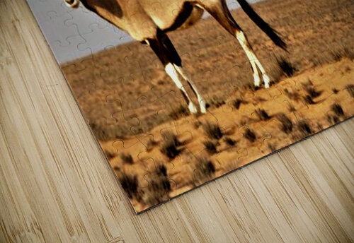 1654 mohamed elabari puzzle