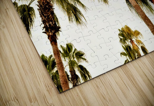 1691 mohamed elabari puzzle