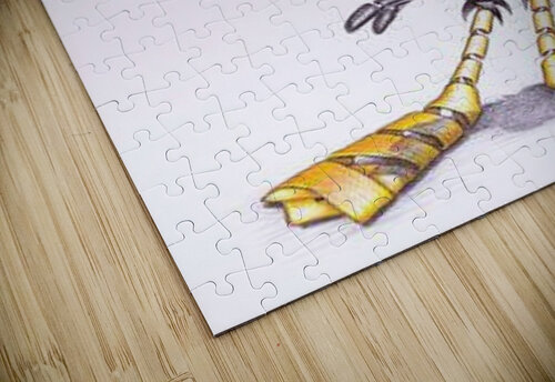 1671 mohamed elabari puzzle