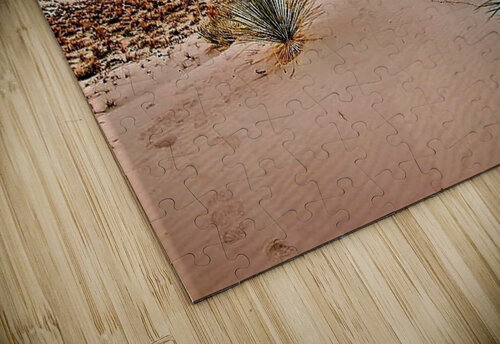 1744 mohamed elabari puzzle