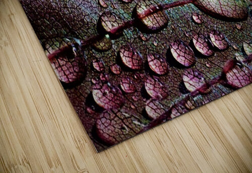 1753 mohamed elabari puzzle