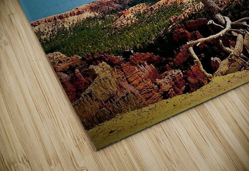 1768 mohamed elabari puzzle