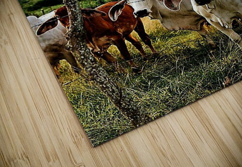 1773 mohamed elabari puzzle