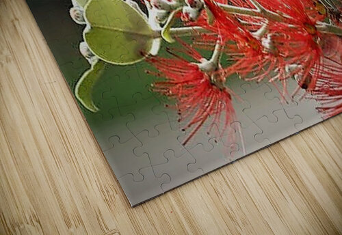 1785 mohamed elabari puzzle