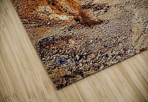 1815 mohamed elabari puzzle