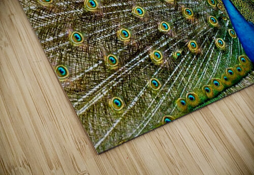 1822 mohamed elabari puzzle