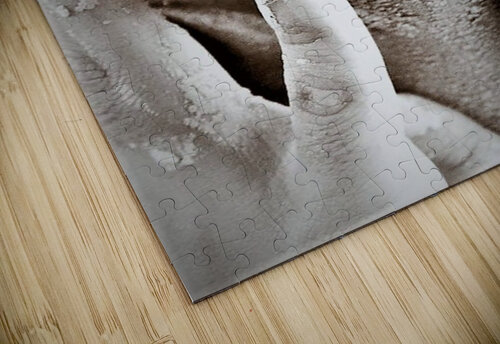 1865 mohamed elabari puzzle