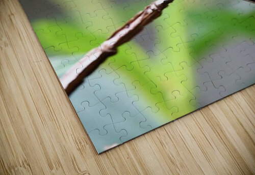 1898 mohamed elabari puzzle