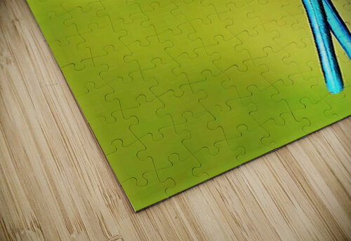 1907 mohamed elabari puzzle