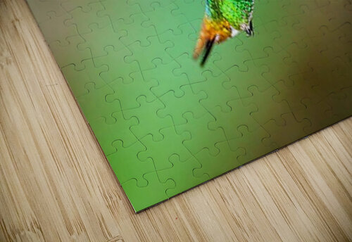 1922 mohamed elabari puzzle