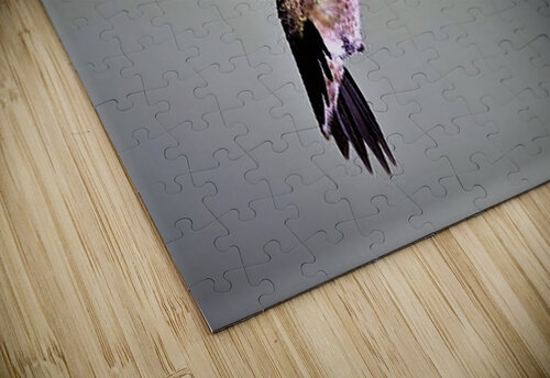 1929 mohamed elabari puzzle