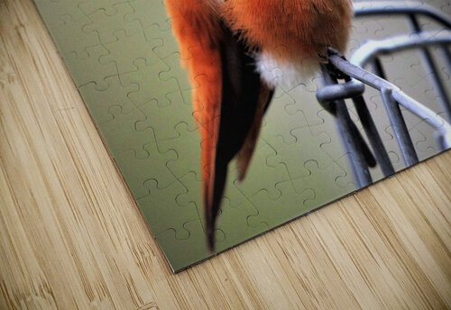 1946 mohamed elabari puzzle