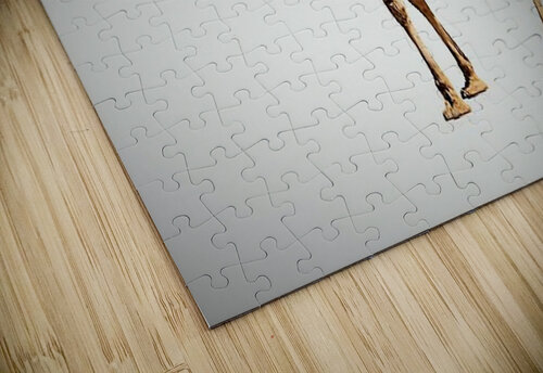1972 mohamed elabari puzzle