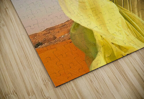 2043 mohamed elabari puzzle