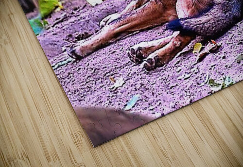 2056 mohamed elabari puzzle