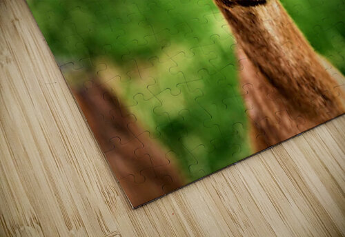 2083 mohamed elabari puzzle