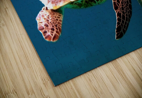 2096 mohamed elabari puzzle