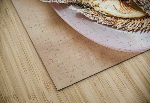 2104 mohamed elabari puzzle
