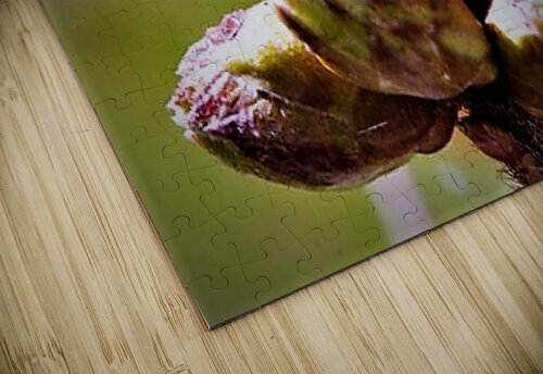 2125 mohamed elabari puzzle