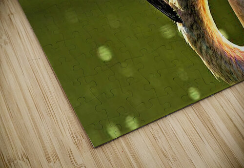 2131 mohamed elabari puzzle