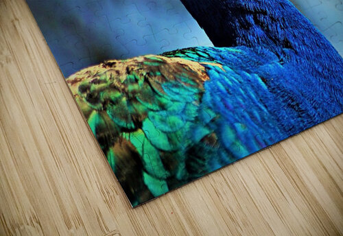2133 mohamed elabari puzzle