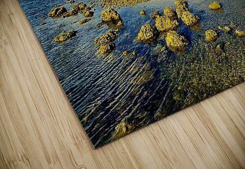 2149 mohamed elabari puzzle